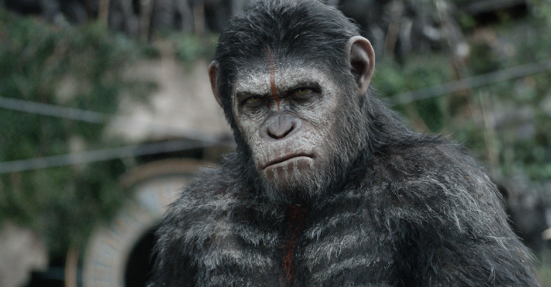 War For The Planet Of The Apes: Revelations Review