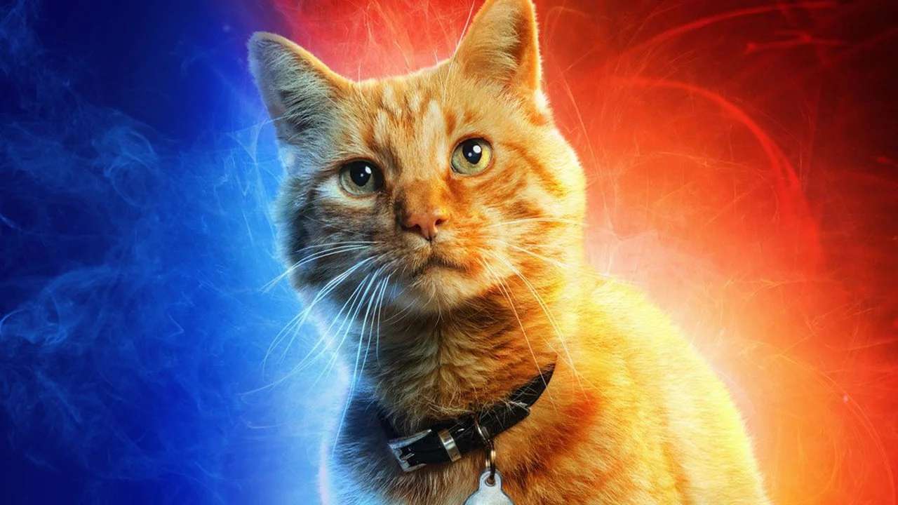 Skrull Actors Frightened Cat Performers In Captain Marvel