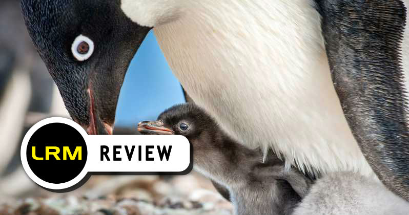 Penguins Review: Soaring with Cuteness
