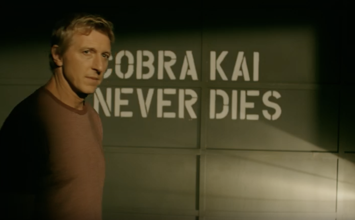 Cobra Kai Renewed For Season 4 In New Trailer