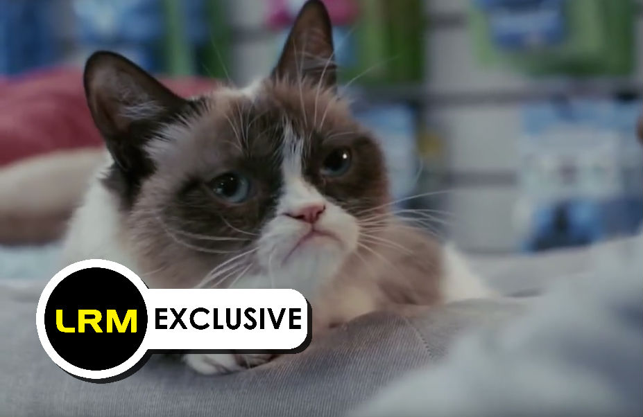 LRM Exclusive: Aubrey Plaza Had Written A Grumpy Cat Feature That Will Never Get Made