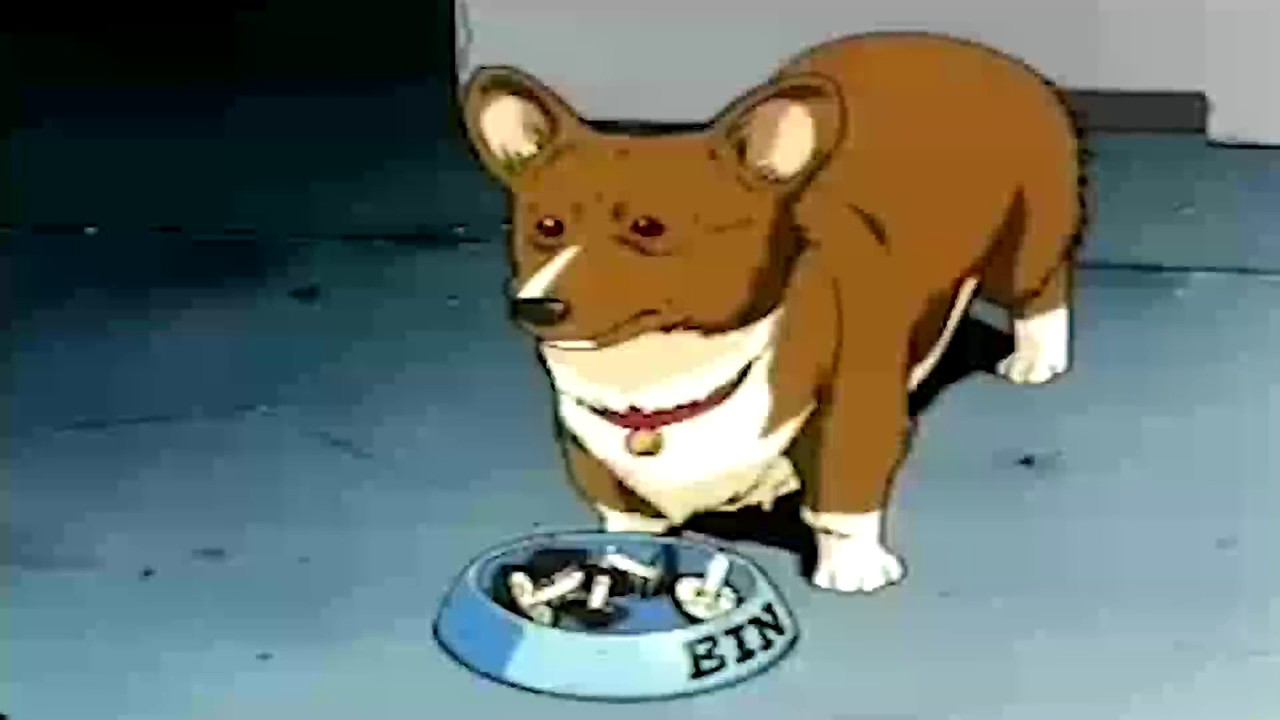 Cowboy Bebop Production Starts With Behind-The-Scenes Video Featuring Ein The Corgi!