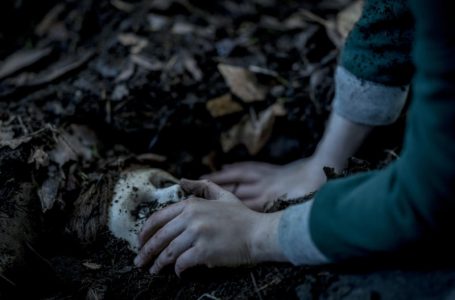 STKfilm Releases New Creepy Trailer For Brahms: The Boy 2