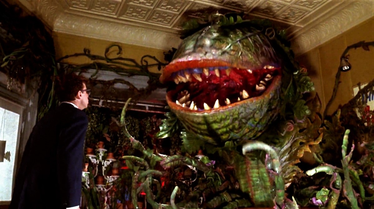 Chris Evans In Talks To Star In Little Shop Of Horrors