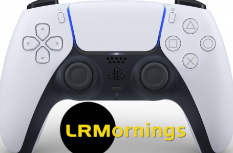 The PS5 “DualSense” Controller Reviewed!!! Based On Pictures And Words… | LRMornings