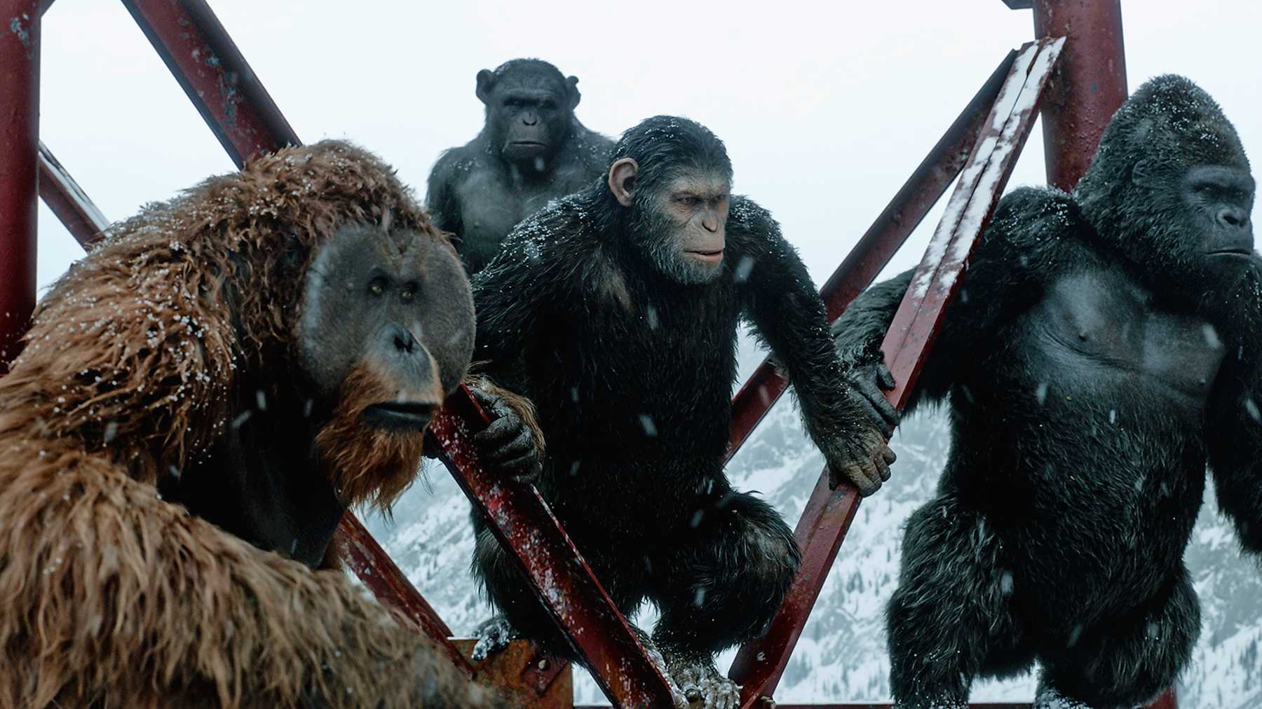 Worried The New Planet Of The Apes Movie Will Ruin The Prequel Trilogy? Don’t Be