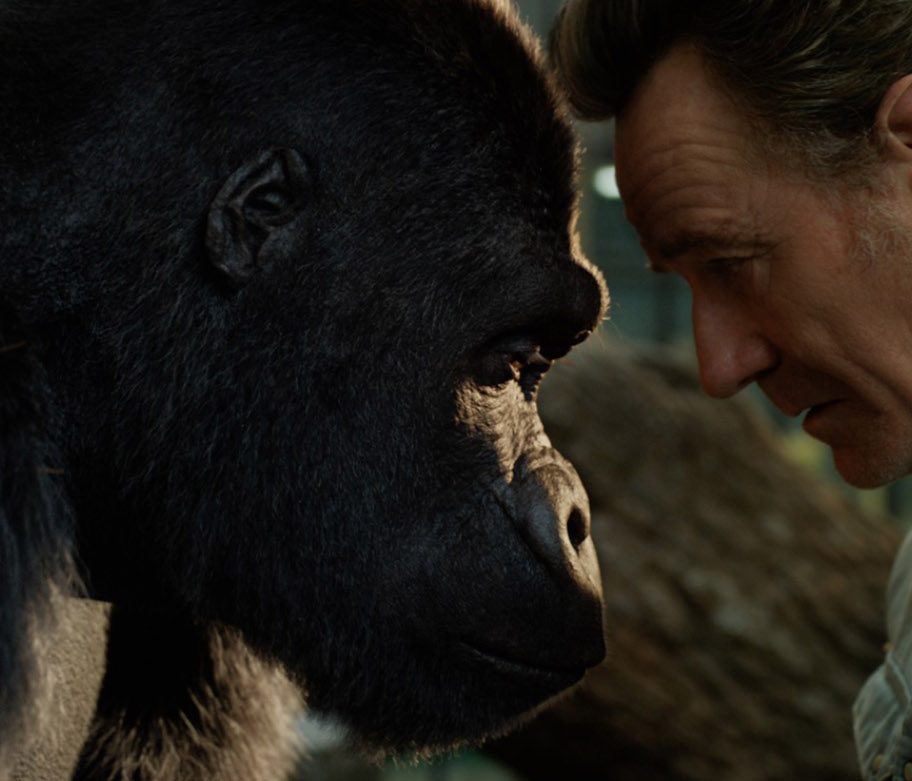 The One and Only Ivan Trailer Reveals A Heartwarming Gorilla Tale