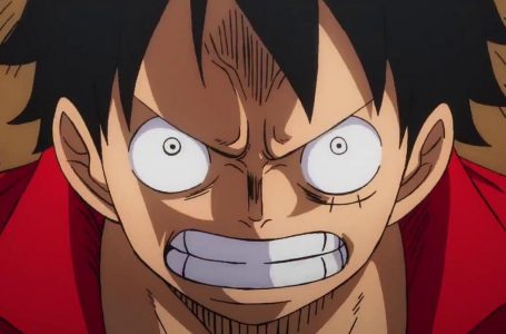 Why The Live-Action One Piece Series Has Me Concerned