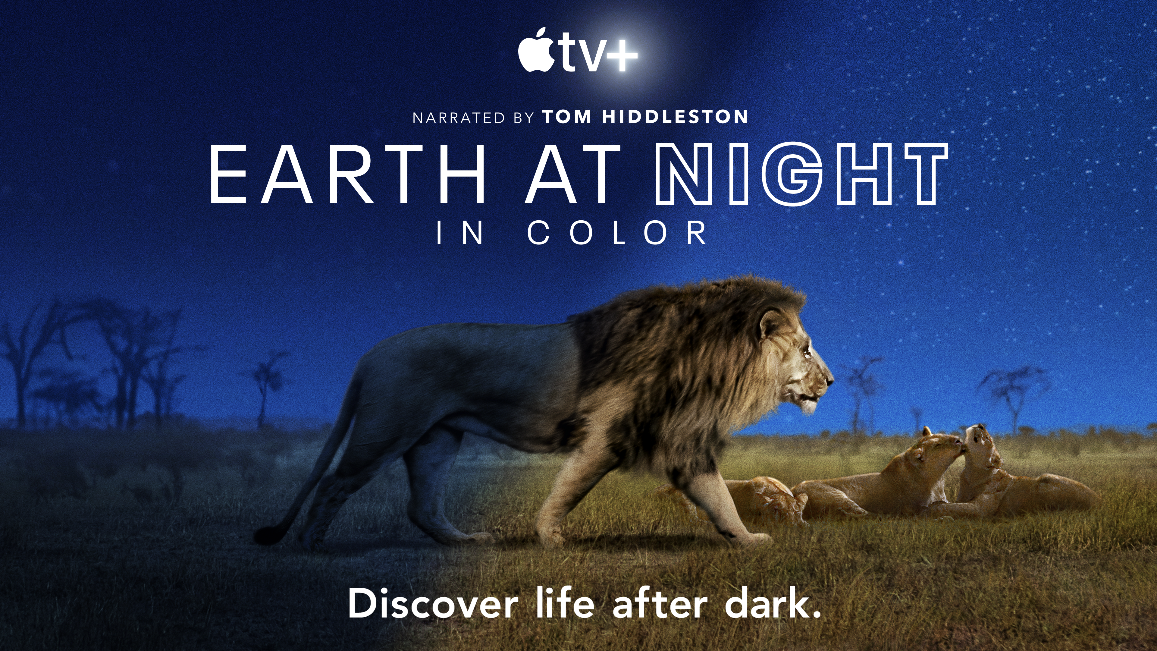Apple TV+ Debuts Awesome Trailer For Earth At Night In Color