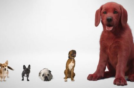 Clifford the Big Red Dog Makes His Live-Action Teaser Trailer Debut