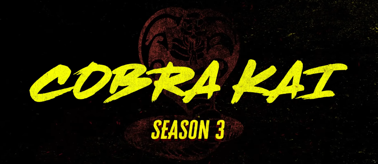 Cobra Kai: The Season 3 Trailer Shows No Mercy!
