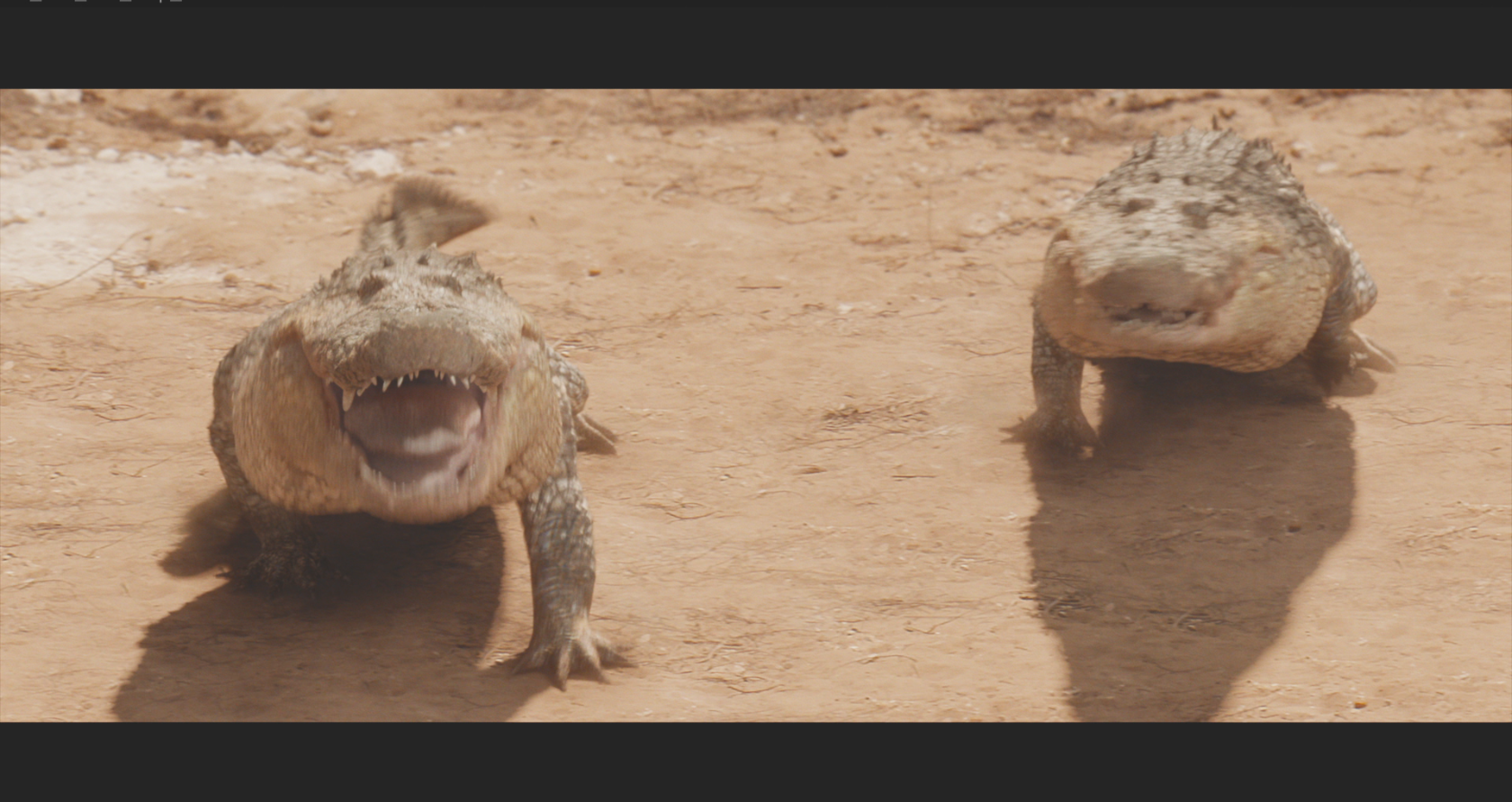 Barb and Star - Alligators - Temprimental VFX
