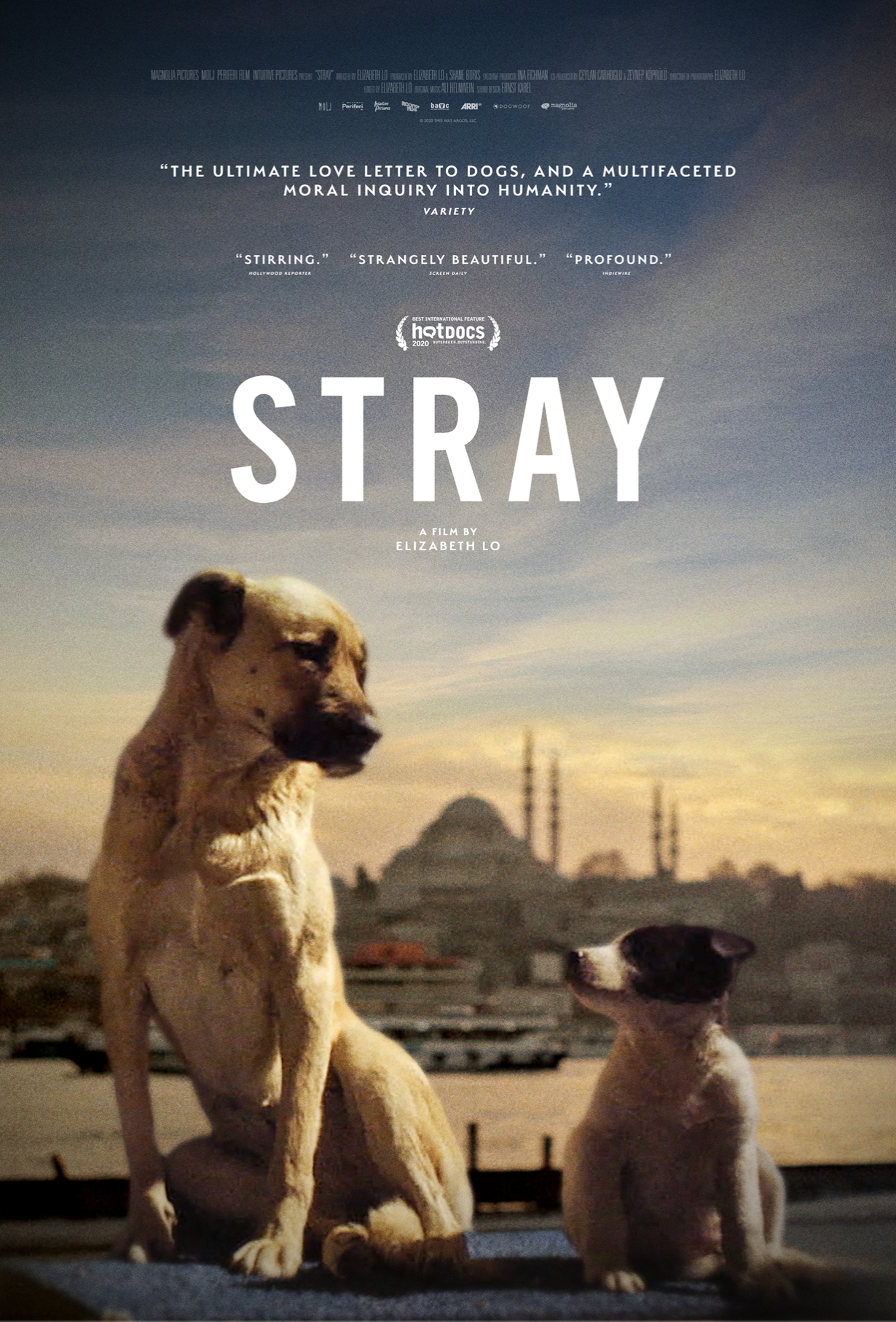 Elizabeth Lo Shows Us A Narrative Of A Stray In Her New Documentary [Exclusive Interview]