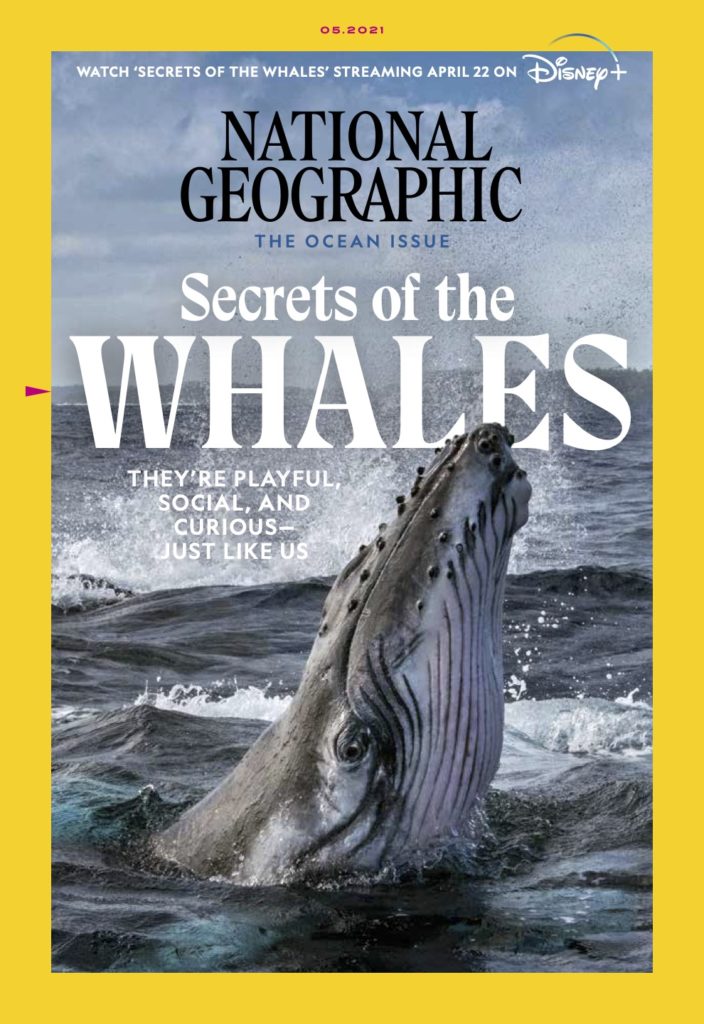 Secrets of the Whales 
