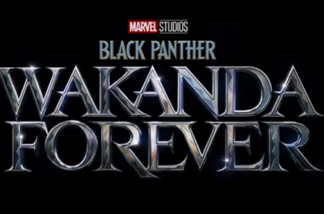 Anthony Mackie On Wakanda Forever Title For Black Panther Sequel