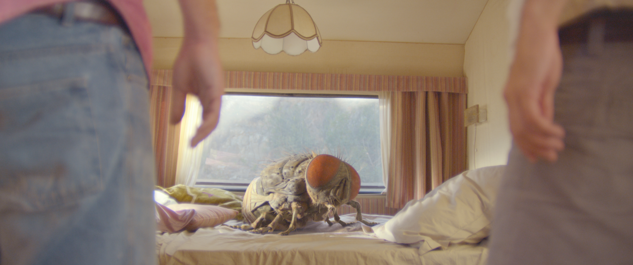 Mandibles Trailer Has Two Idiots Adopting a Giant Pet Insect