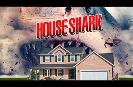 House Shark | 50 B Movies – The Sequel – Bigger – Better – Badder