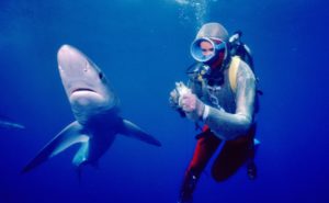 Playing with Sharks with Valerie Taylor