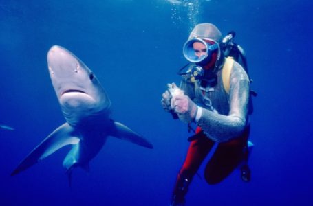 Valerie Taylor Talks Sharks, Jaws, and Her Life in NatGeo’s Playing With Sharks Doc [Exclusive Interview]