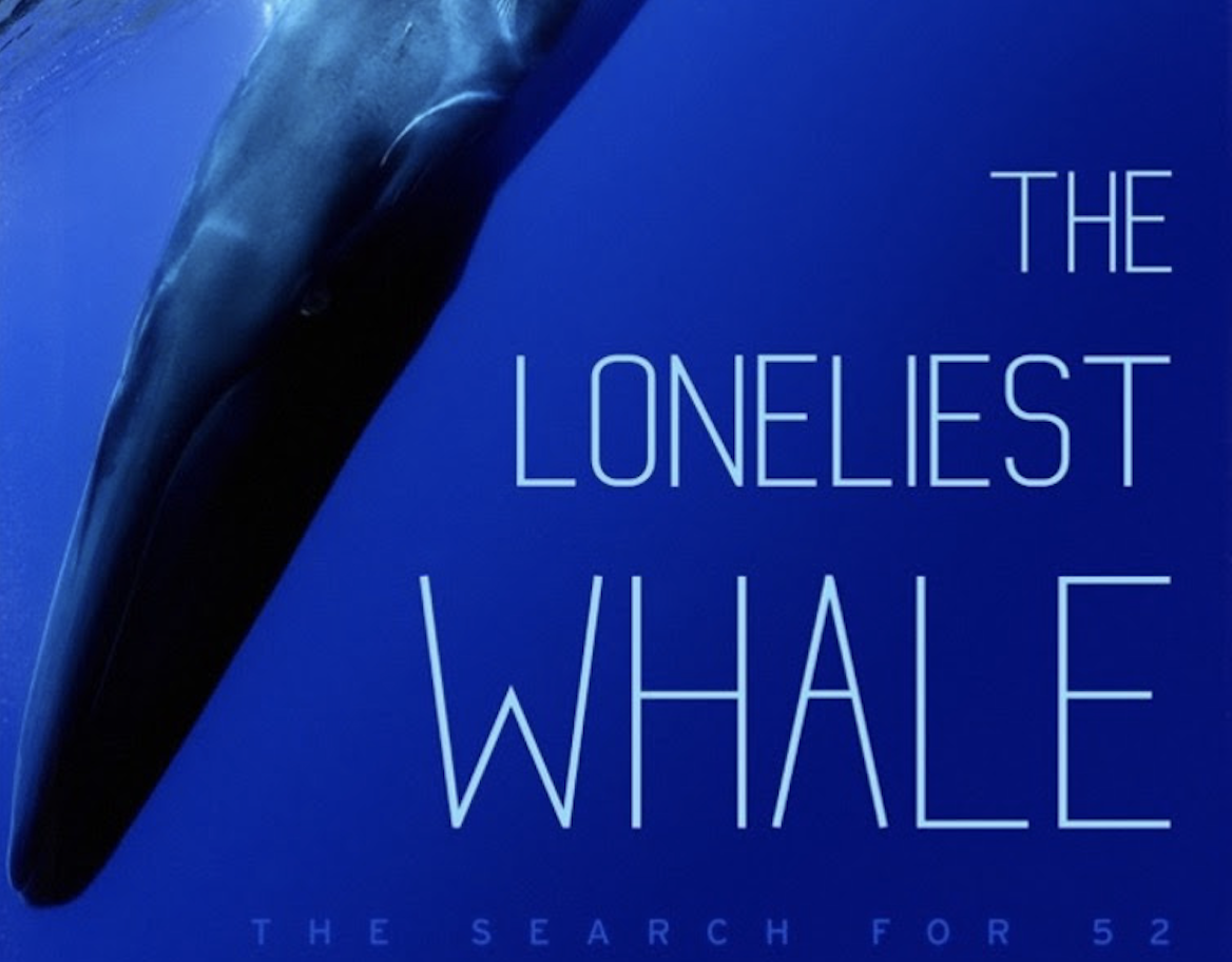 Joshua Zeman Talks About His Search For 52 In The Loneliest Whale [Exclusive Interview]