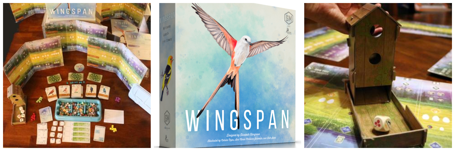Tabletop Game Review – Wingspan