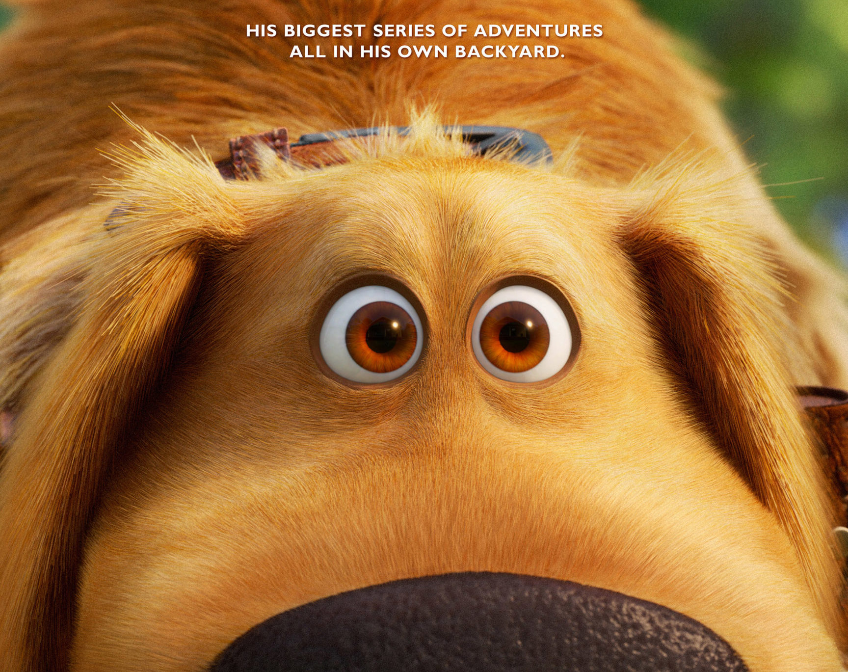 Dug Days | Disney Shares Teaser Trailer In Honor Of Dog Day