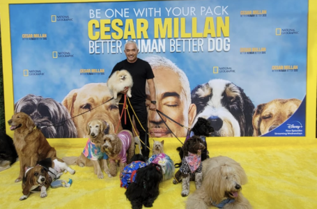 César Millán Habla De Better Human, Better Dog Y Clarifica Su Verdadera Ocupacíon [Entrevista Exclusiva]