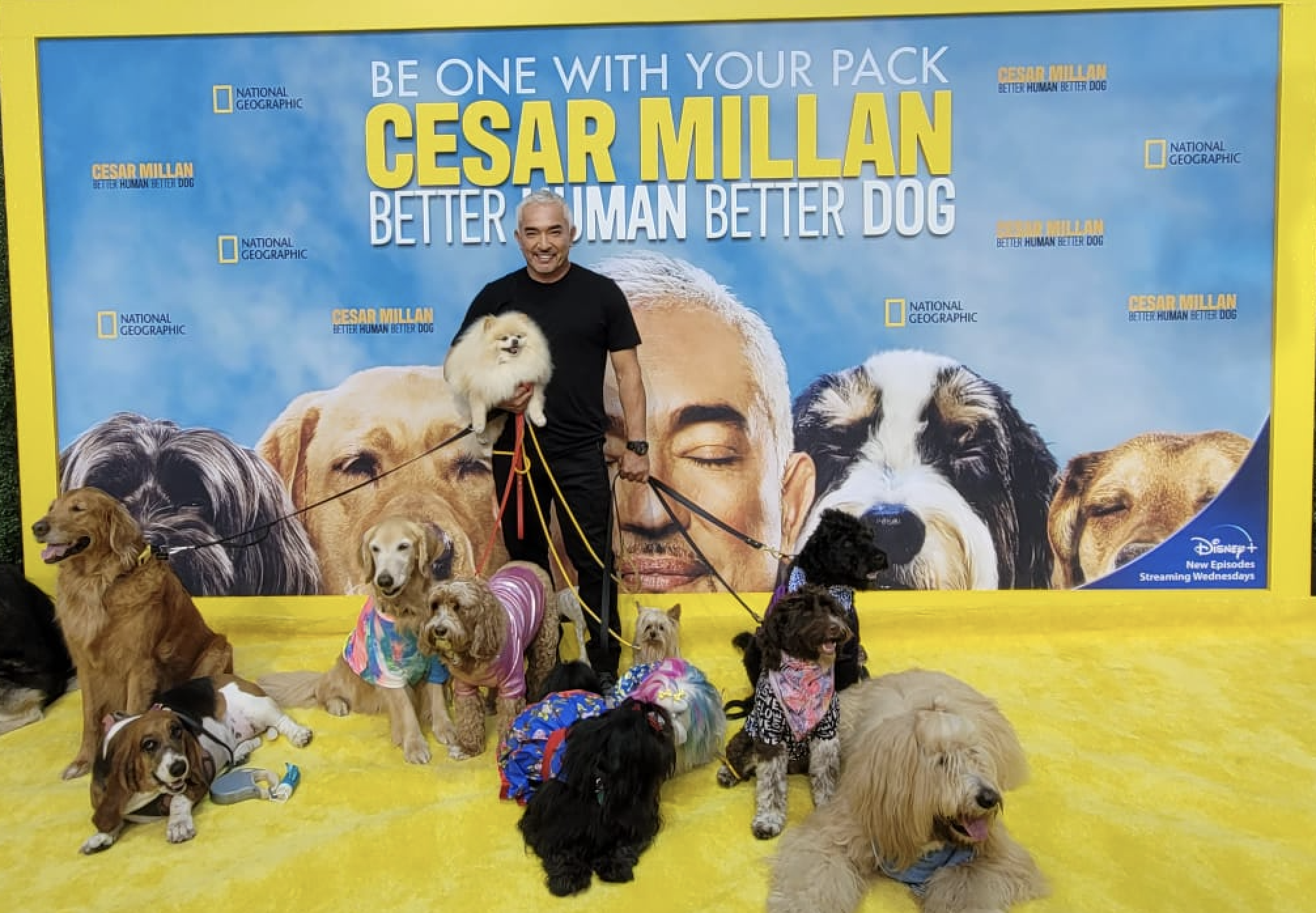 César Millán Habla De Better Human, Better Dog Y Clarifica Su Verdadera Ocupacíon [Entrevista Exclusiva]