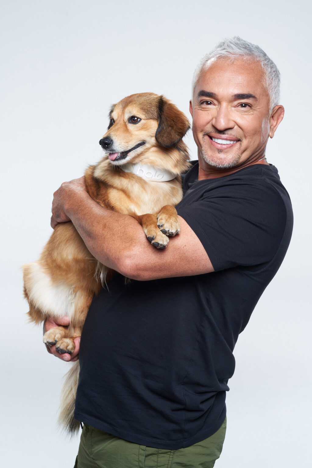 Cesar Millan Talks About The New AIDriven Halo Collar 3 And Preparing