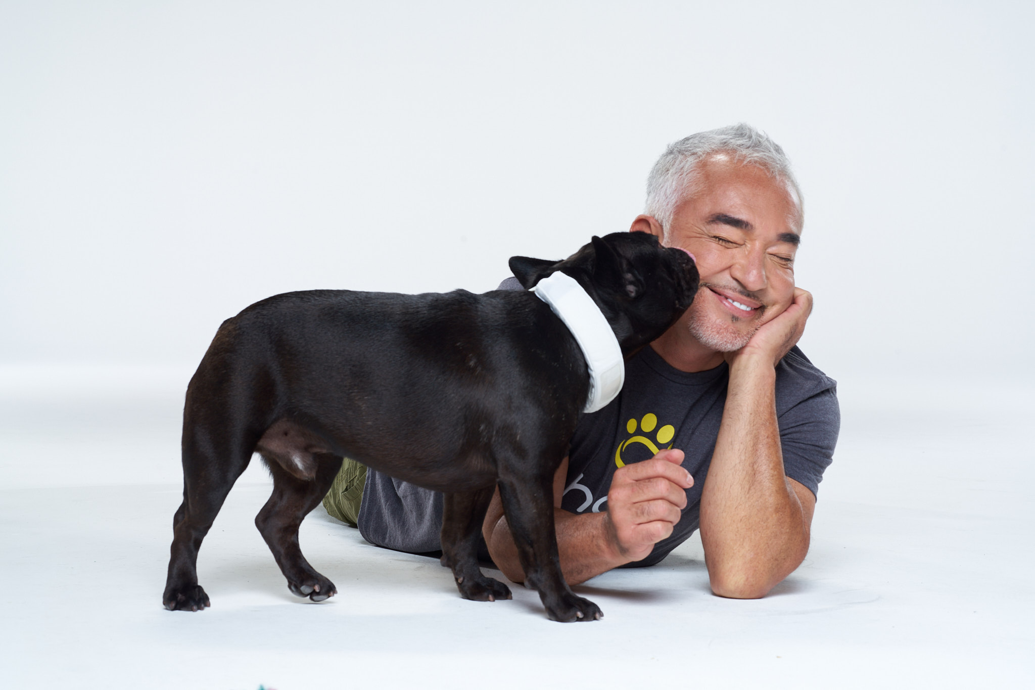 Cesar Millan Talks About The New AI-Driven Halo Collar 3 And Preparing For An Adoption | Exclusive