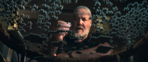 Sleeping Dogs starring Russell Crowe
