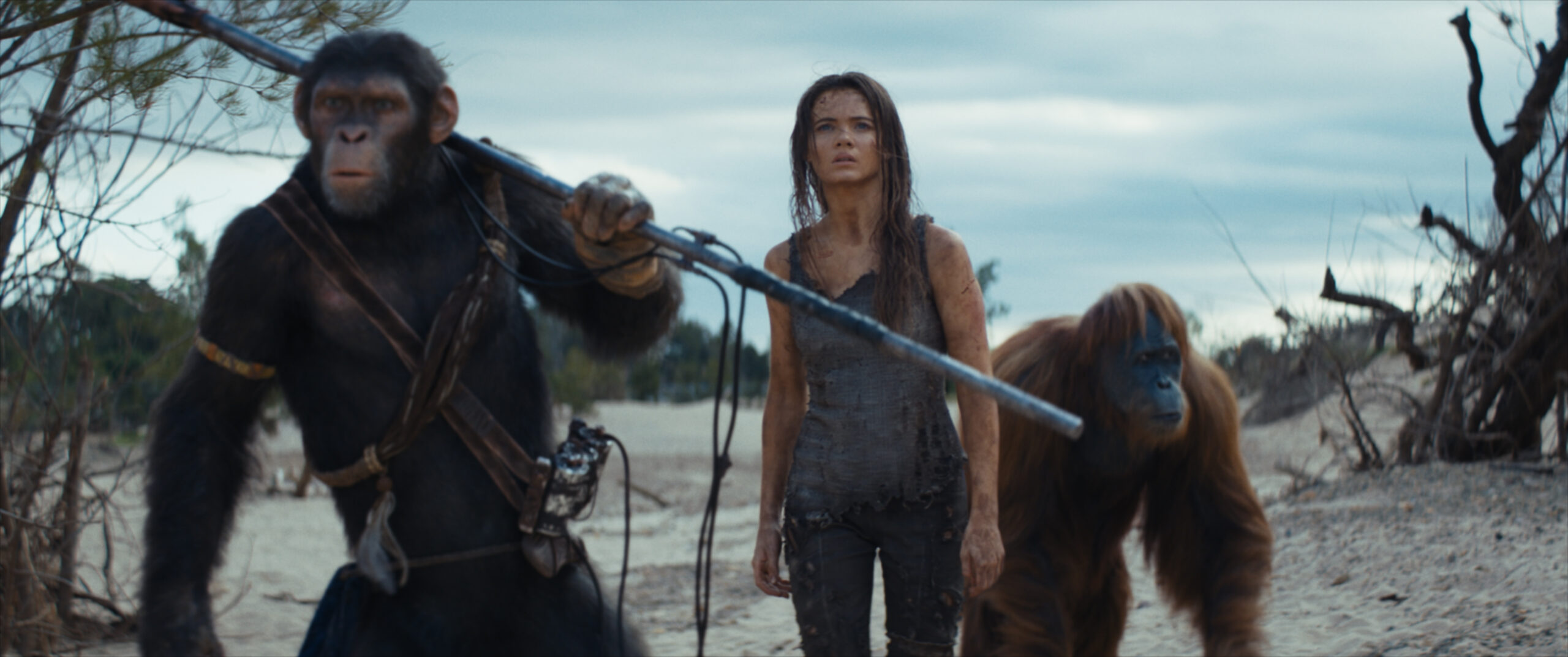 New Trailer Unveiled For ‘Kingdom of the Planet of the Apes’ During The Big Game