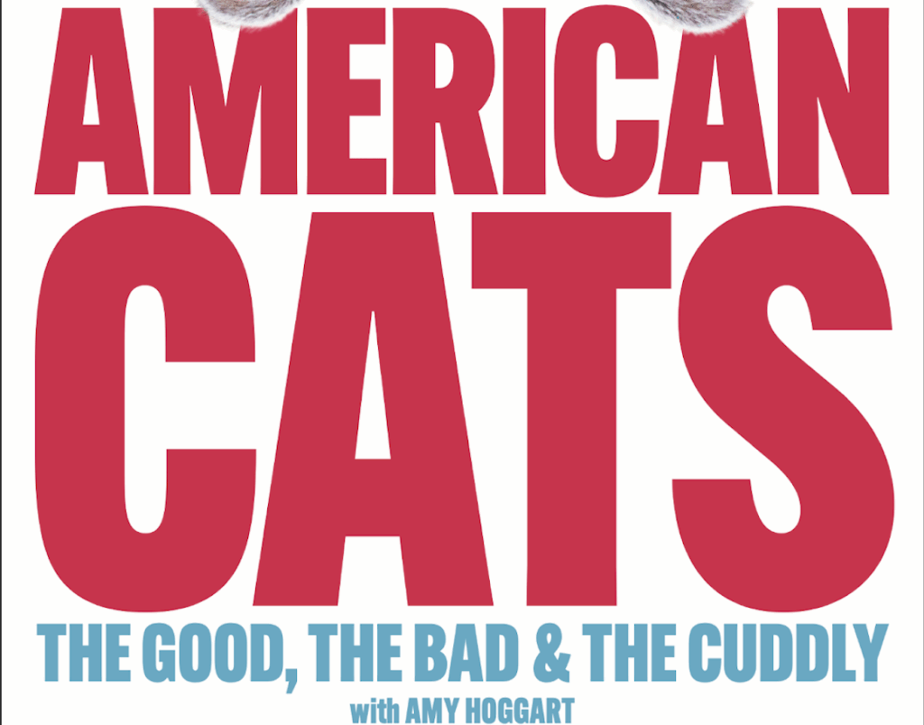 American Cats: The Good, The Bad, And The Cuddly