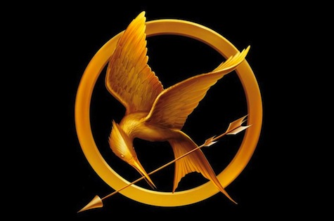 The Hunger Games pin